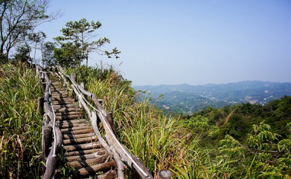 114.07.20(日)大坑步道-頭嵙山-小百岳