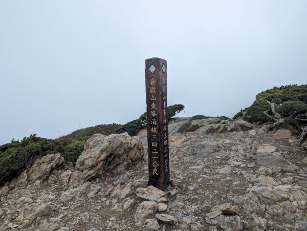 115.05.17(日)合歡主、東峰賞杜鵑【百岳行】 (小車限21人)