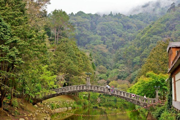 115.01.25(日)杉林溪之鹿屈山-AB線 (門票請自理)