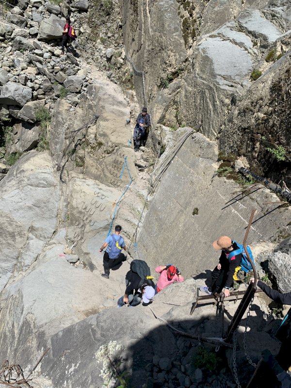 115.04.19(日)阿里山眠月線尋幽AB線 (需抽籤、不含門票)